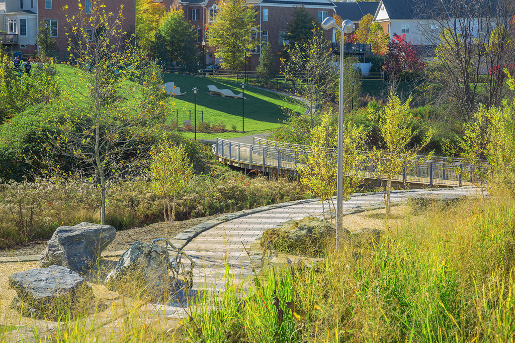 Germantown Town Center Urban Park - Annapolis Landscape Architects